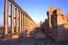 パルミラ遺跡