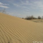 ウズベキスタン～砂漠横断510km