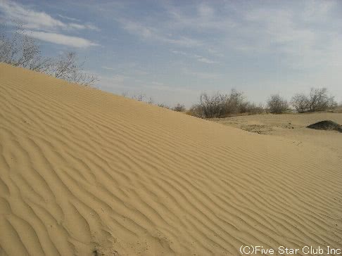 ウズベキスタン～砂漠横断510km