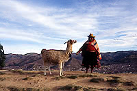 ペルー・かつて栄えたインカ帝国の首都へ