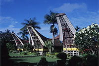 伝統家屋トンコナンハウスを目指し いざスラウェシ島へ～インドネシア～