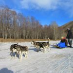 ＭＫ５（マジで凍える5秒前）　冬のモンゴルの楽しみ方とは？　～犬ぞり＆旧正月体験　極寒モンゴル紀行～